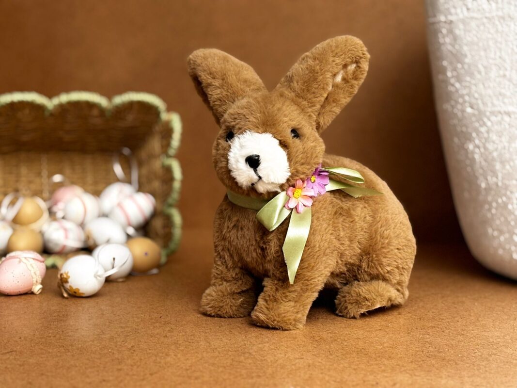 92d97dde-1d9b-4e15-a9ba-2d4be4078fb3